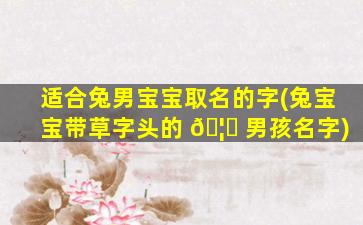 适合兔男宝宝取名的字(兔宝宝带草字头的 🦅 男孩名字)